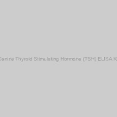 Image of Canine Thyroid Stimulating Hormone (TSH) ELISA Kit